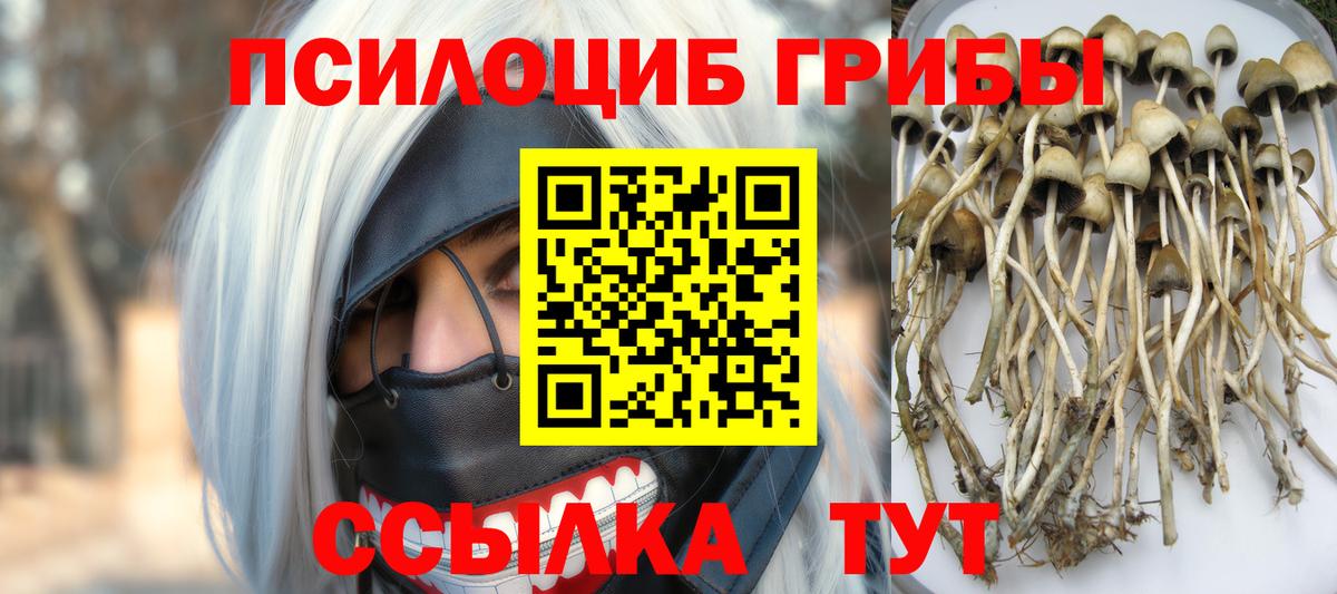Псилоцибиновые грибы прущие грибы Свободный