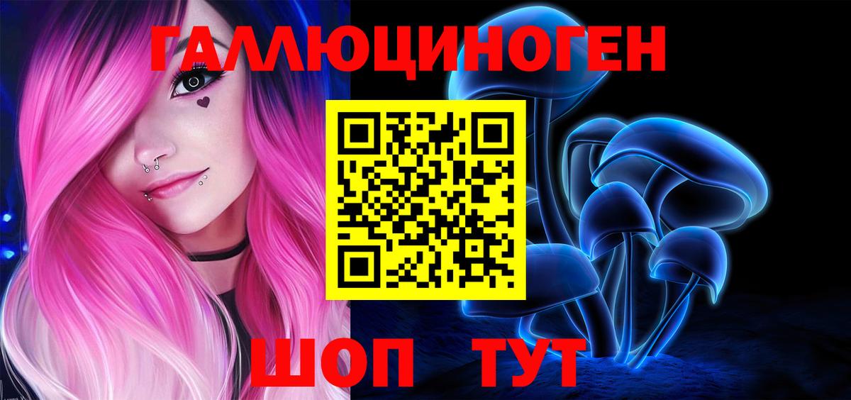 Псилоцибиновые грибы Psilocybe  Вход с VPN  наркотики  Свободный 