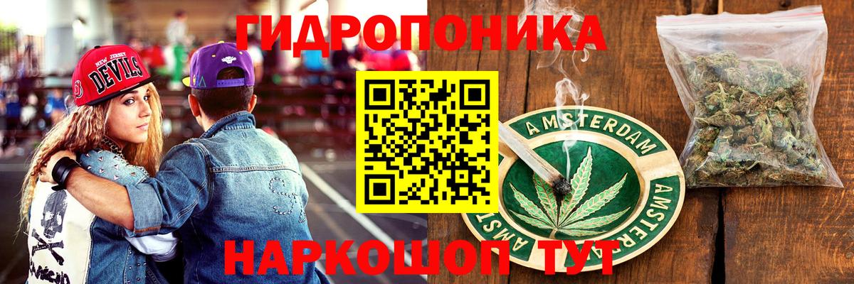 Конопля конопля  Вход с VPN  Свободный  Бошки Шишки OG Kush 